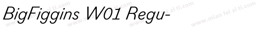 BigFiggins W01 Regu字体转换